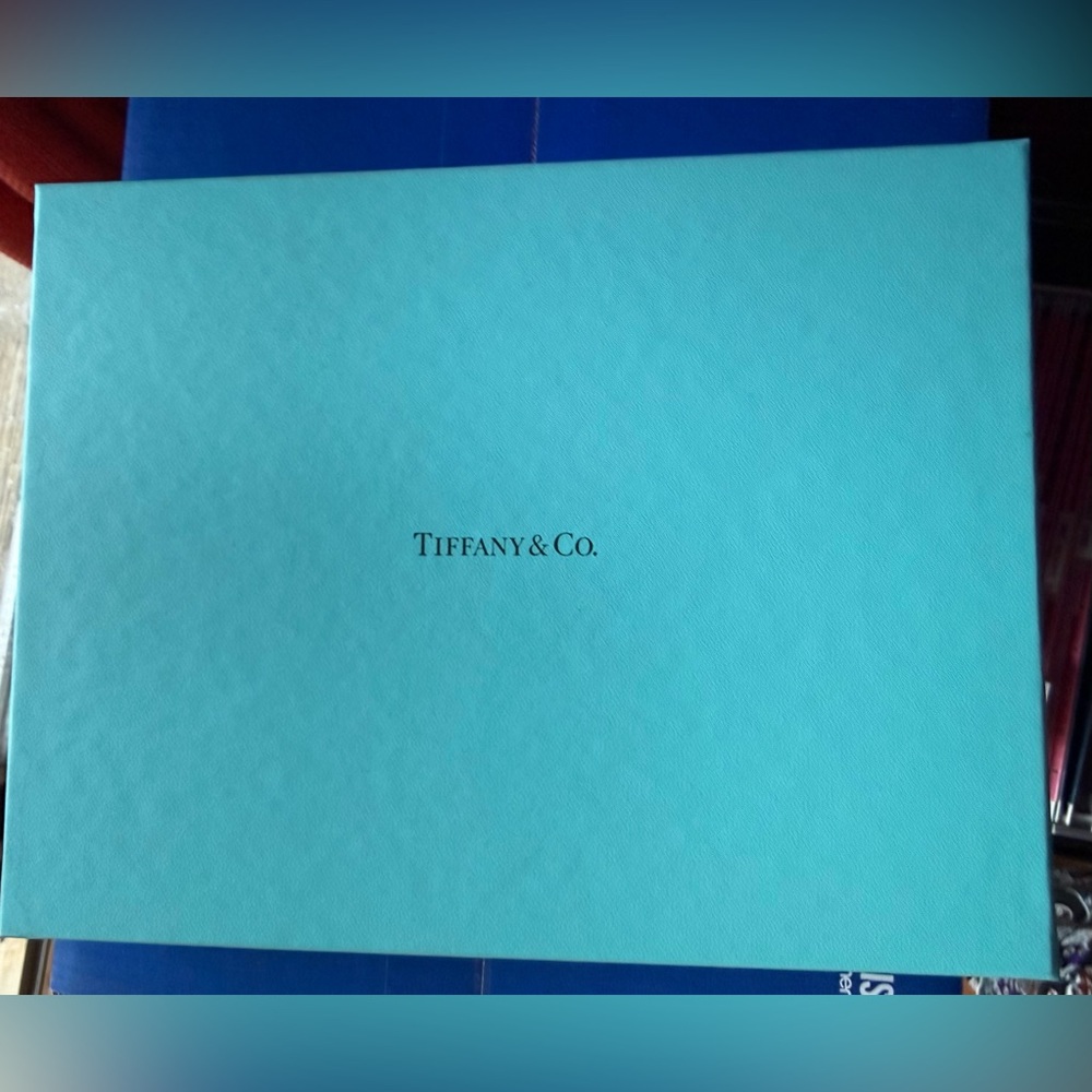 Tiffany & Co. Turquoise Gift Box
